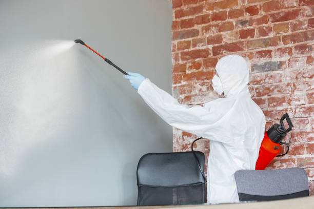 Best Environmental Consulting for Mold Prevention  in Pelham, AL