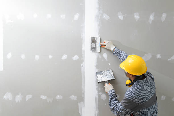  Pelham, AL Mold Removal Pros