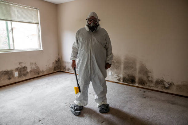 Best Mold Remediation for Vacation Homes  in Pelham, AL